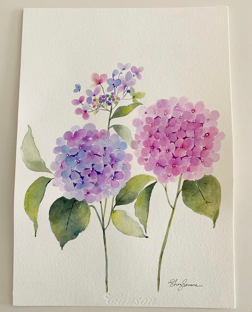 Violets